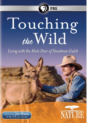 Nature: Touching the Wild Living with Mule Deer of Deadman Gulch