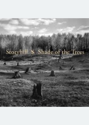 Shade Of The Trees