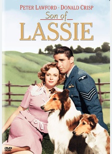 Son Of Lassie