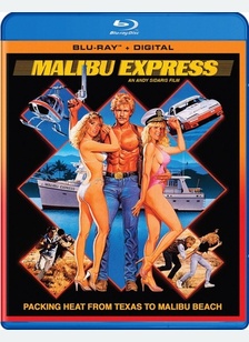 Malibu Express