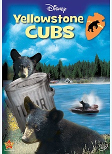Yellowstone Cubs