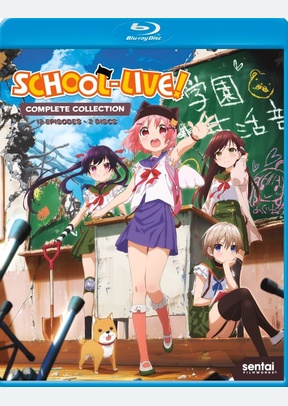 SCHOOL-LIVE:COMP COLL (BR)