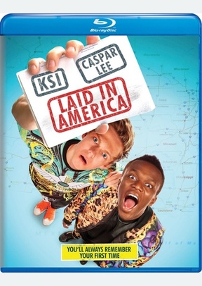 Laid In America