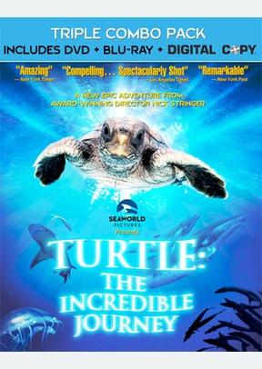 Turtle: The Incredible Journey