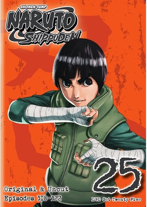 Naruto Shippuden: Box Set 25