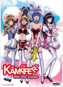 Kampfer Fur Die Liebe