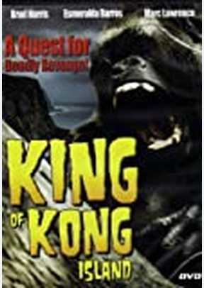 KING OF KONG ISLAND