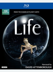Life (British Version)