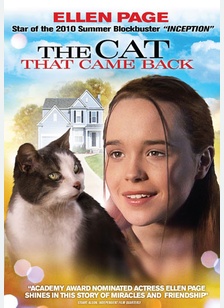 The Cat That Came Back