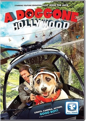 Doggone Hollywood