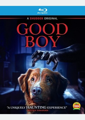 GOOD BOY (BR)