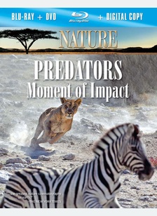 Nature: Predators Moment of Impact