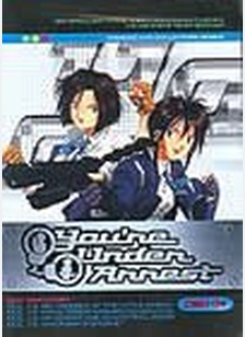 You're Under Arrest TV Volume 4