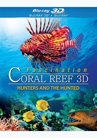 Fascination: Coral Reef 3D - Hunters & The Hunted - Products