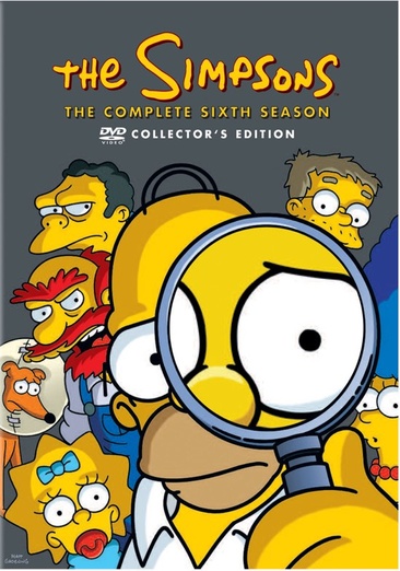 The Simpsons: The Complete Sixth Season - USED