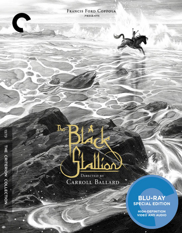 The Black Stallion - NEW