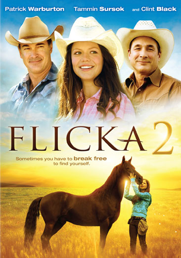 Flicka 2 - USED