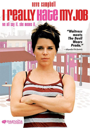 I Really Hate My Job - USED