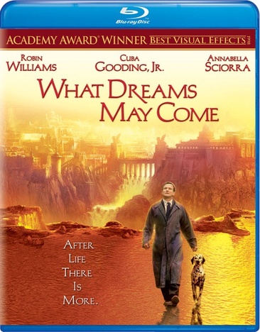 What Dreams May Come - USED