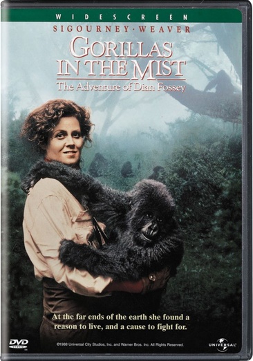 Gorillas In The Mist