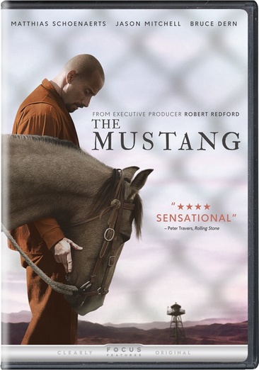 The Mustang - USED