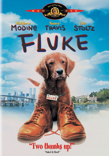 Fluke - USED