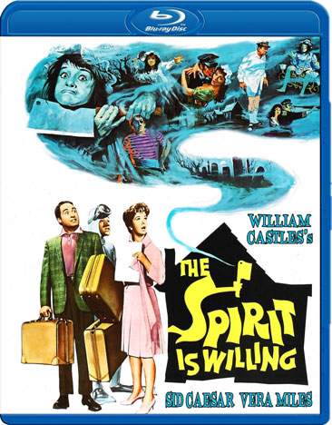 The Spirit Is Willing - USED