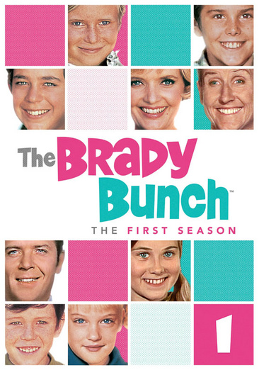 The Brady Bunch: The First Season - USED