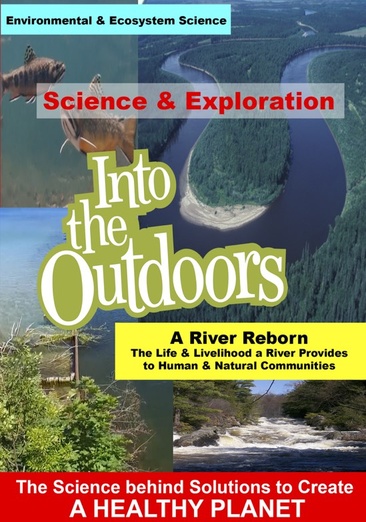 A River Reborn: The Life and Livelihood a River Provides to Human & Natural Communities - NEW