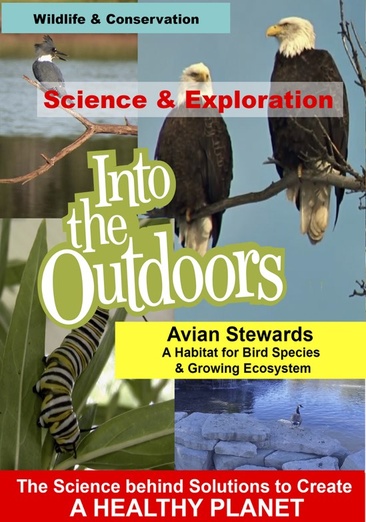 Avian Stewards: A Habitat for Bird Species & Growing Ecosystem - NEW