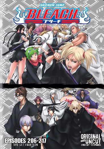Bleach Box Set 14 - USED