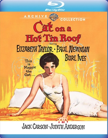 Cat On A Hot Tin Roof - USED