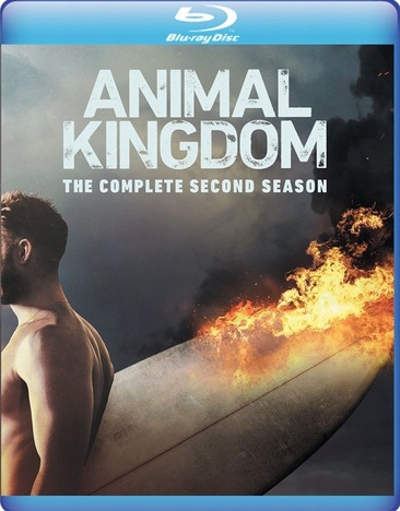 Animal Kingdom: The Complete Second Season - NEW