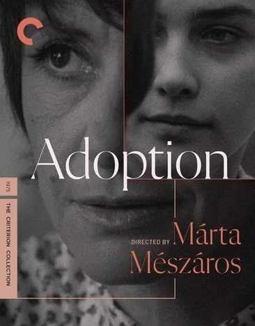 The Adoption - NEW