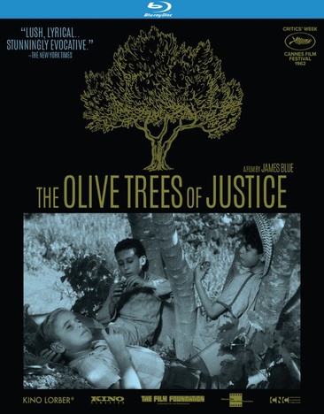 Olive Trees of Justice - NEW