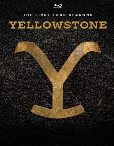Yellowstone: Seasons 1-4 - USED